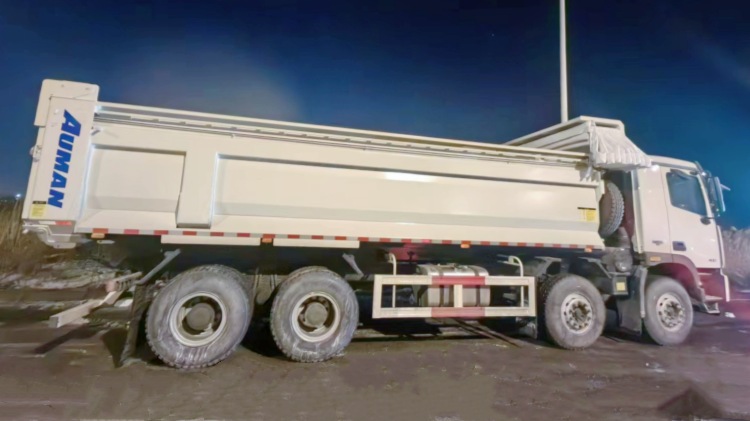 Chinese Foton Dump Truck for Sale in Djibouti