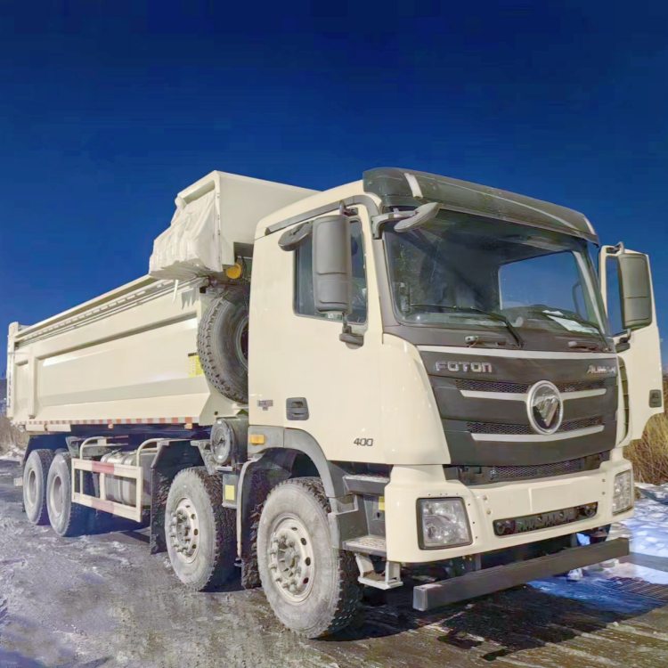 Chinese Foton Dump Truck for Sale in Djibouti